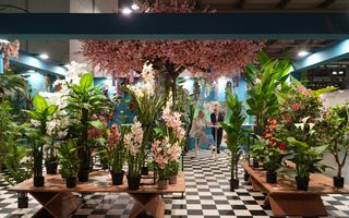 Myplant & Garden 2026: la fiera del verde apre le porte oggi