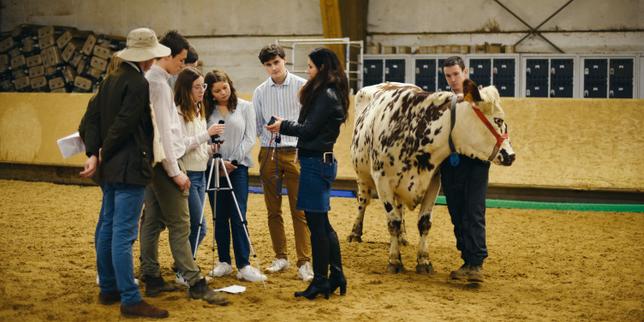 Salon de l’agriculture apre a Parigi tra epizootie, calamità climatiche e tensioni commerciali globali