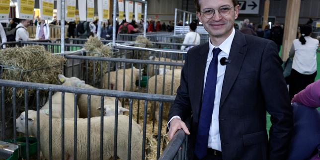 Bournazel rifiuta alleanze: non si unisce a Grégoire o Dati per il secondo turno delle elezioni comunali di Parigi
