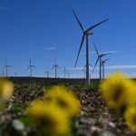 Lavoro sostenibile: la ricerca dimostra che l’impatto ambientale è il fattore decisivo