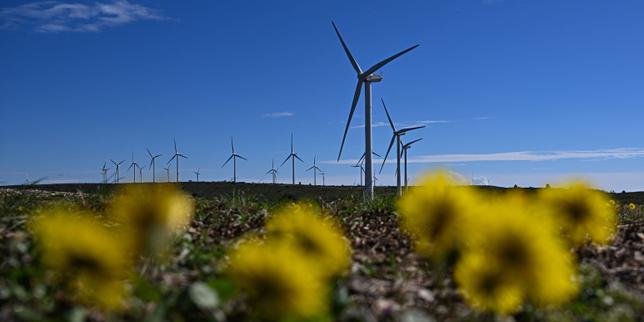 Lavoro sostenibile: la ricerca dimostra che l’impatto ambientale è il fattore decisivo