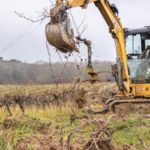 La PAC resta la principale fonte di aiuti per gli agricoltori francesi, nonostante l’aumento dei piani di emergenza