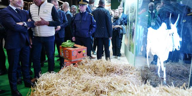 Assenza di bovini al Salon de l'Agriculture: la partecipazione cala di un quarto nei primi quattro giorni