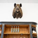 Sologne: la sagra del lusso e della caccia tra capitani d’industria e estrema destra