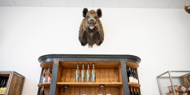 Sologne: la sagra del lusso e della caccia tra capitani d’industria e estrema destra