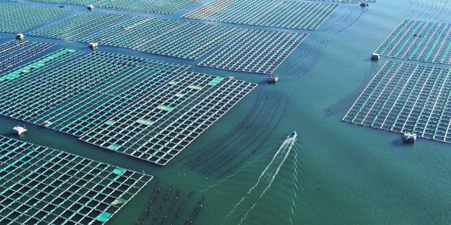 Le imprese rischiano l'estinzione se continuano a distruggere la natura, avverte l'IPBES