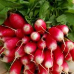 « L’histoire d’amour entre les Français et le radis rose est exclusive. Combien de temps durera encore cette spécificité ? »