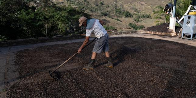 Tariffe USA: l’impatto sulle esportazioni di vino e formaggio francesi