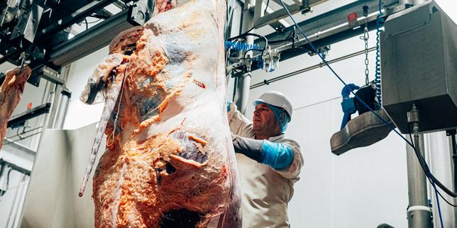 Chiusure di macellerie bretoni minacciano i circuiti brevi e le comunità rurali